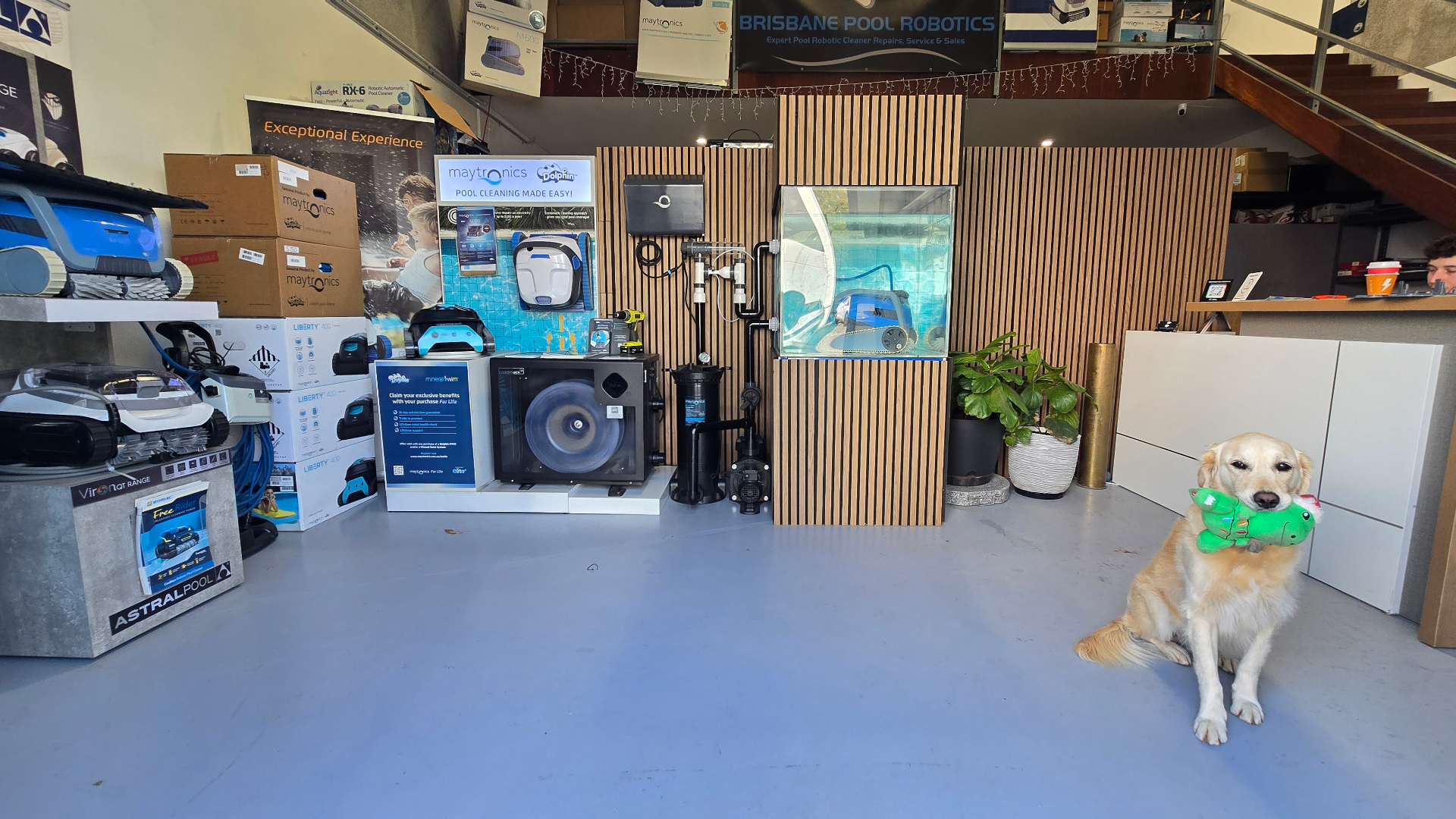 Brisbane Pool Robotics workshop